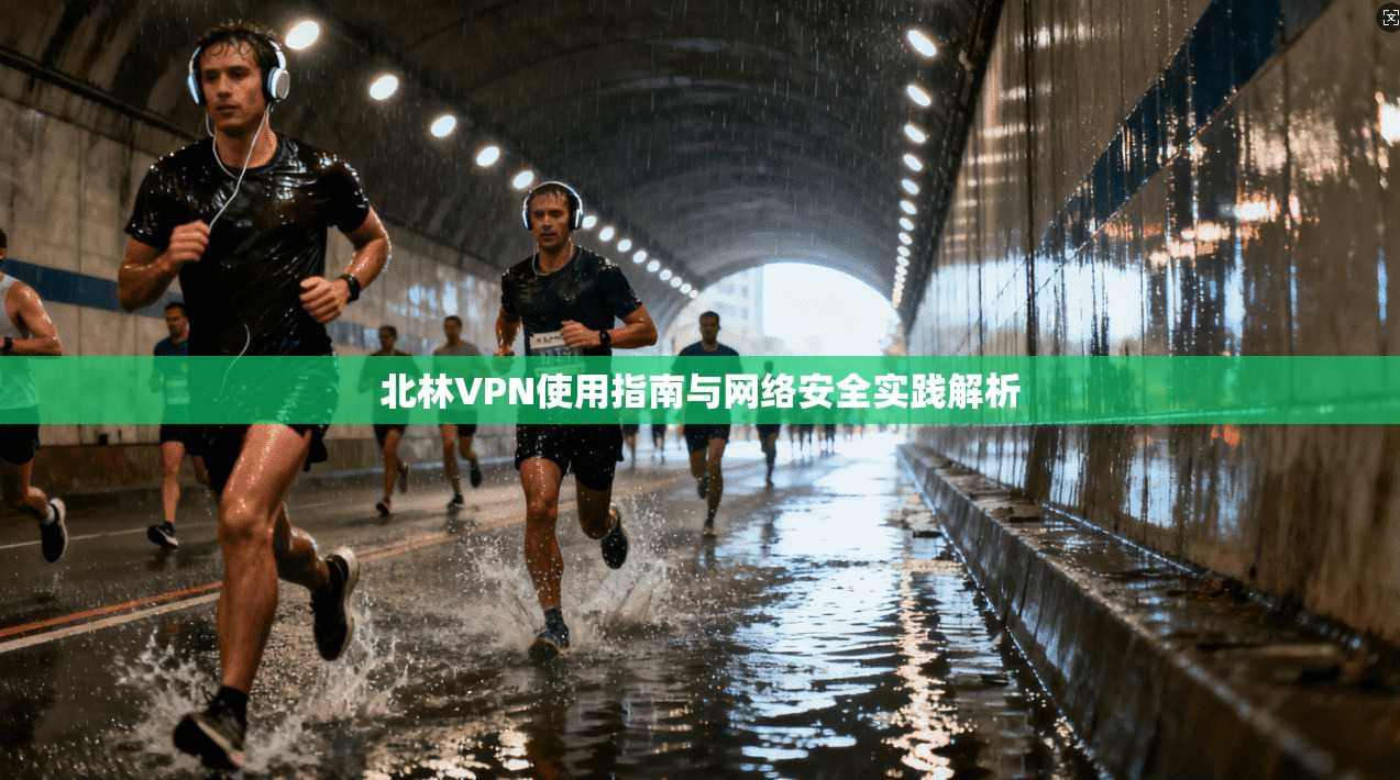 北林VPN使用指南与网络安全实践解析
