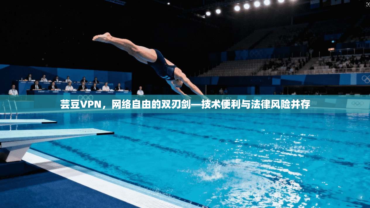 芸豆VPN，网络自由的双刃剑—技术便利与法律风险并存