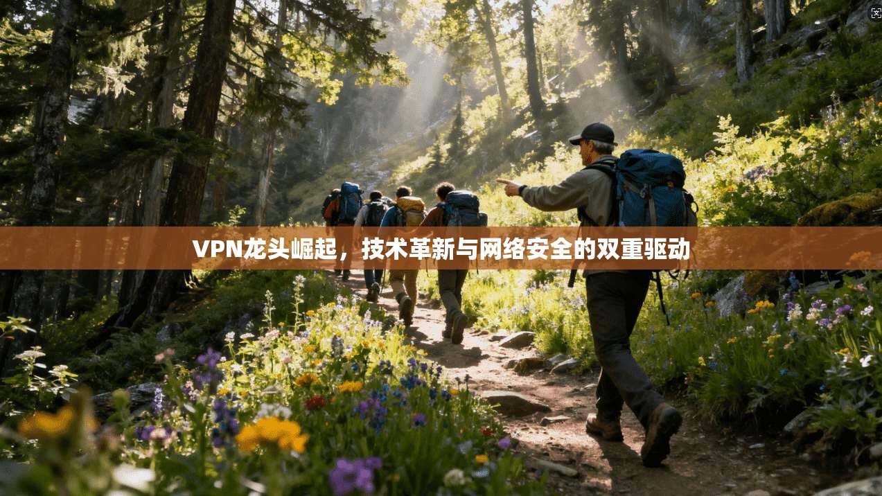 VPN龙头崛起，技术革新与网络安全的双重驱动