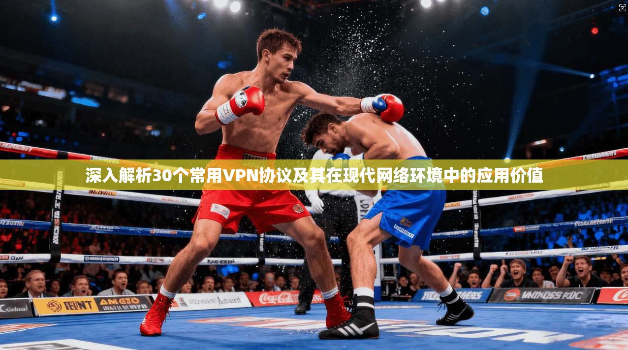 深入解析30个常用VPN协议及其在现代网络环境中的应用价值
