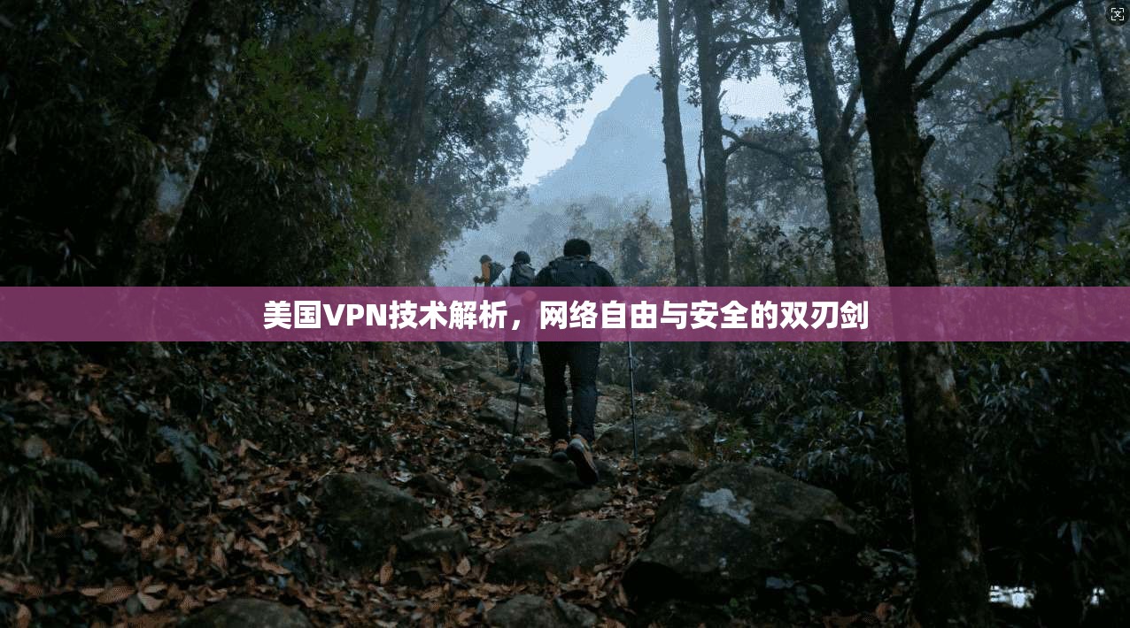 美国VPN技术解析，网络自由与安全的双刃剑