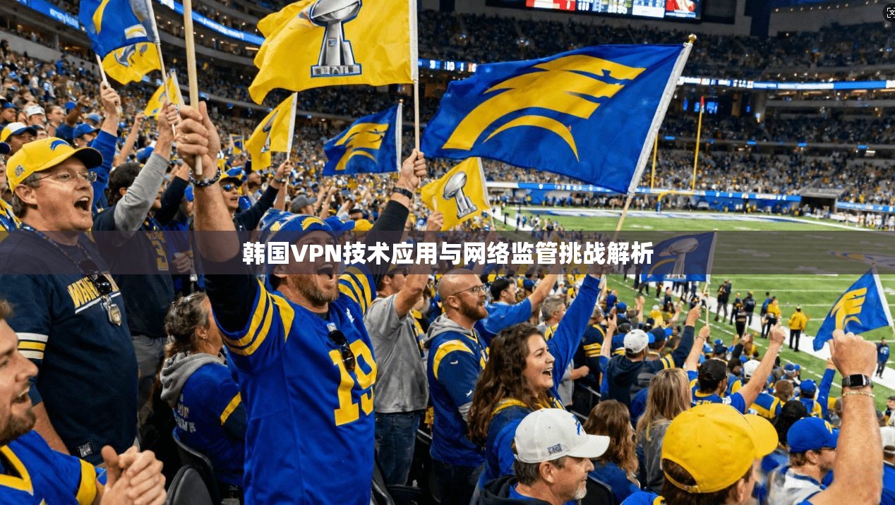 韩国VPN技术应用与网络监管挑战解析