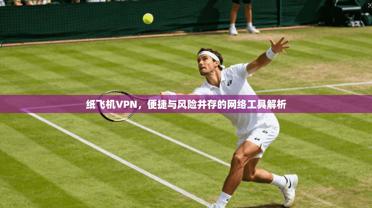 纸飞机VPN,便捷与风险并存的网络工具解析 纸飞机VPN,便捷与风险并存的网络工具解析