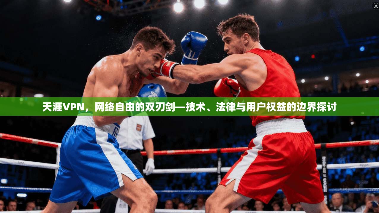 天涯VPN,网络自由的双刃剑—技术、法律与用户权益的边界探讨