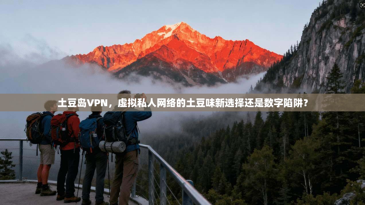 土豆岛VPN，虚拟私人网络的土豆味新选择还是数字陷阱？