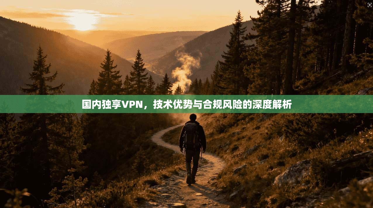 国内独享VPN,技术优势与合规风险的深度解析 国内独享VPN,技术优势与合规风险的深度解析