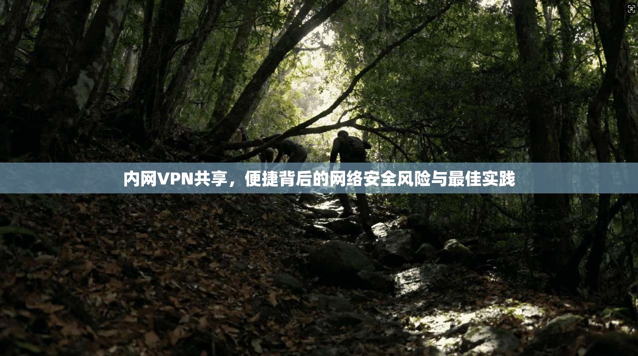 内网VPN共享，便捷背后的网络安全风险与最佳实践