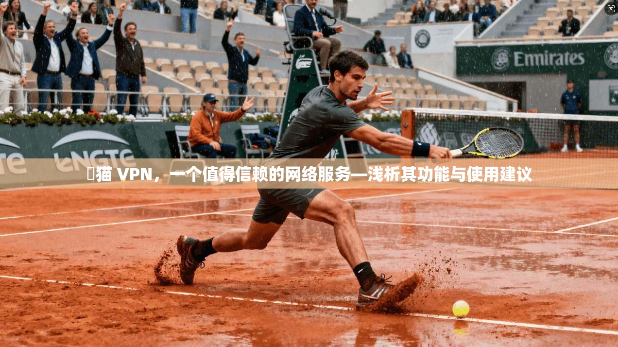 潎猫 VPN，一个值得信赖的网络服务—浅析其功能与使用建议