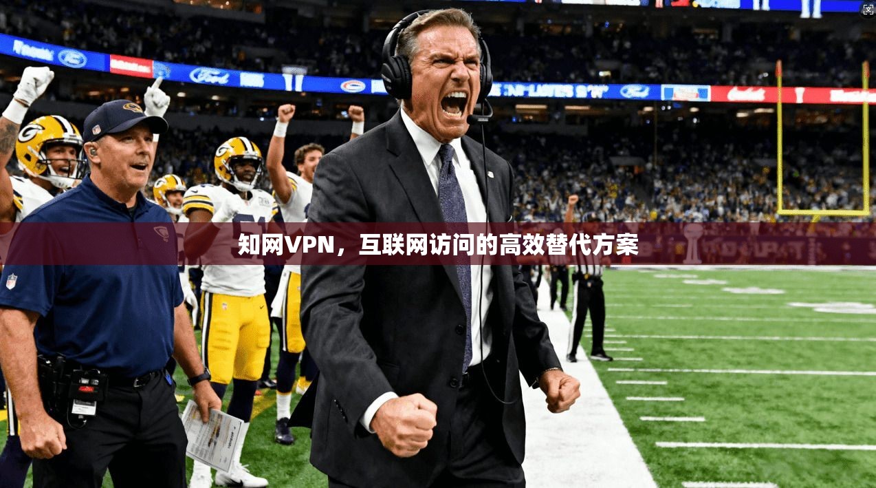 知网VPN，互联网访问的高效替代方案