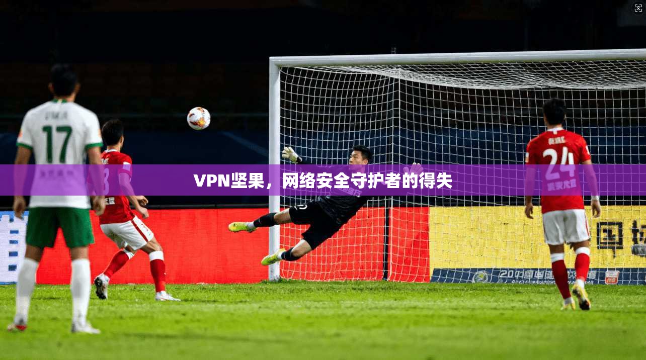 VPN坚果，网络安全守护者的得失