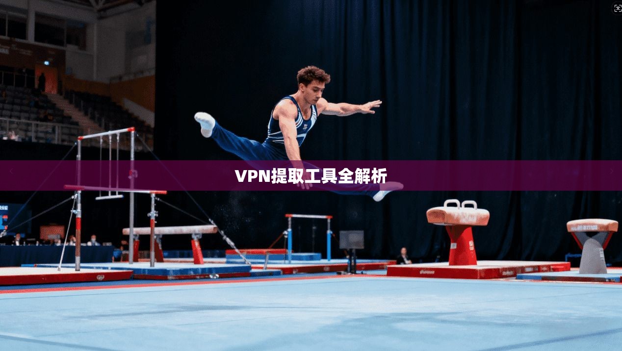 VPN提取工具全解析