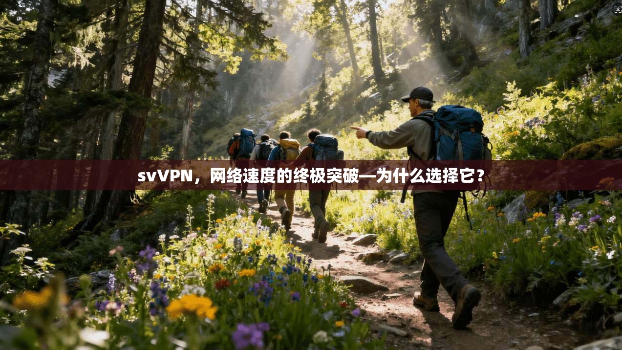 svVPN，网络速度的终极突破—为什么选择它？