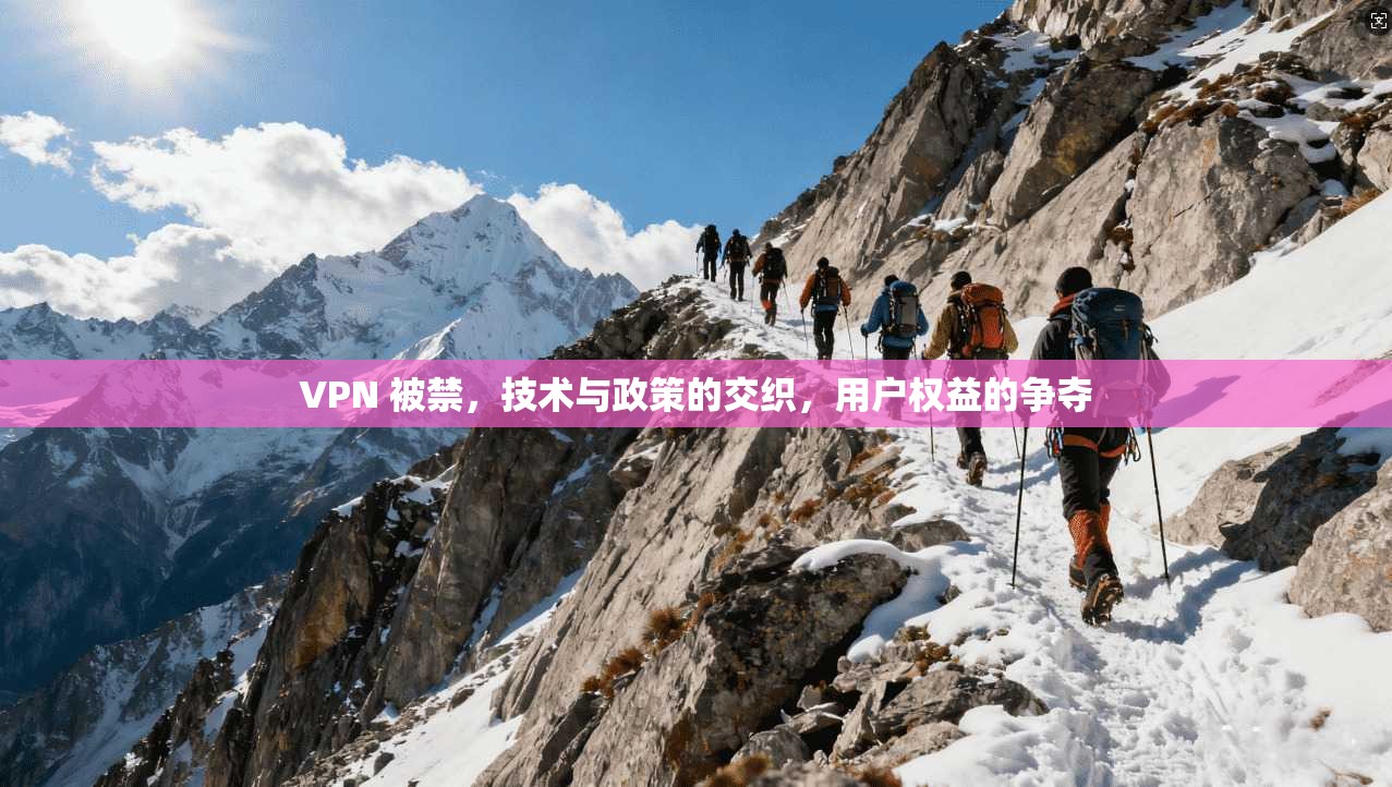 VPN 被禁，技术与政策的交织，用户权益的争夺