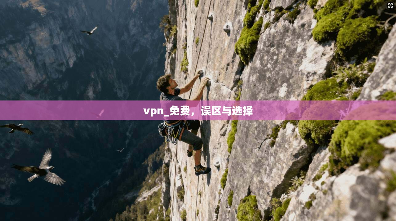 vpn_免费，误区与选择