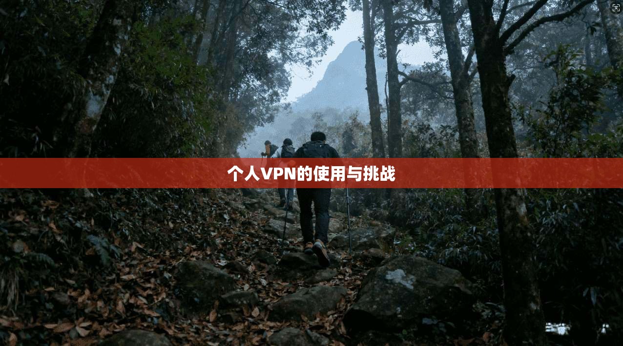 个人VPN的使用与挑战