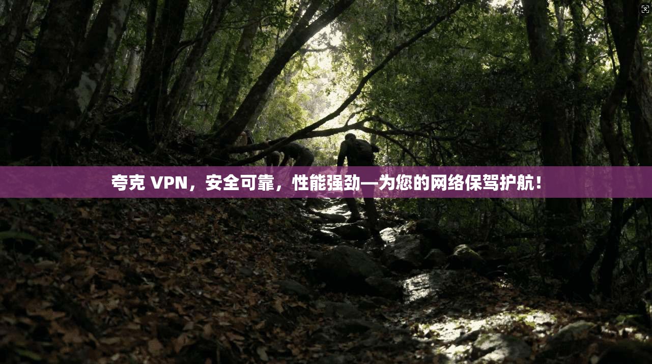 夸克 VPN，安全可靠，性能强劲—为您的网络保驾护航！