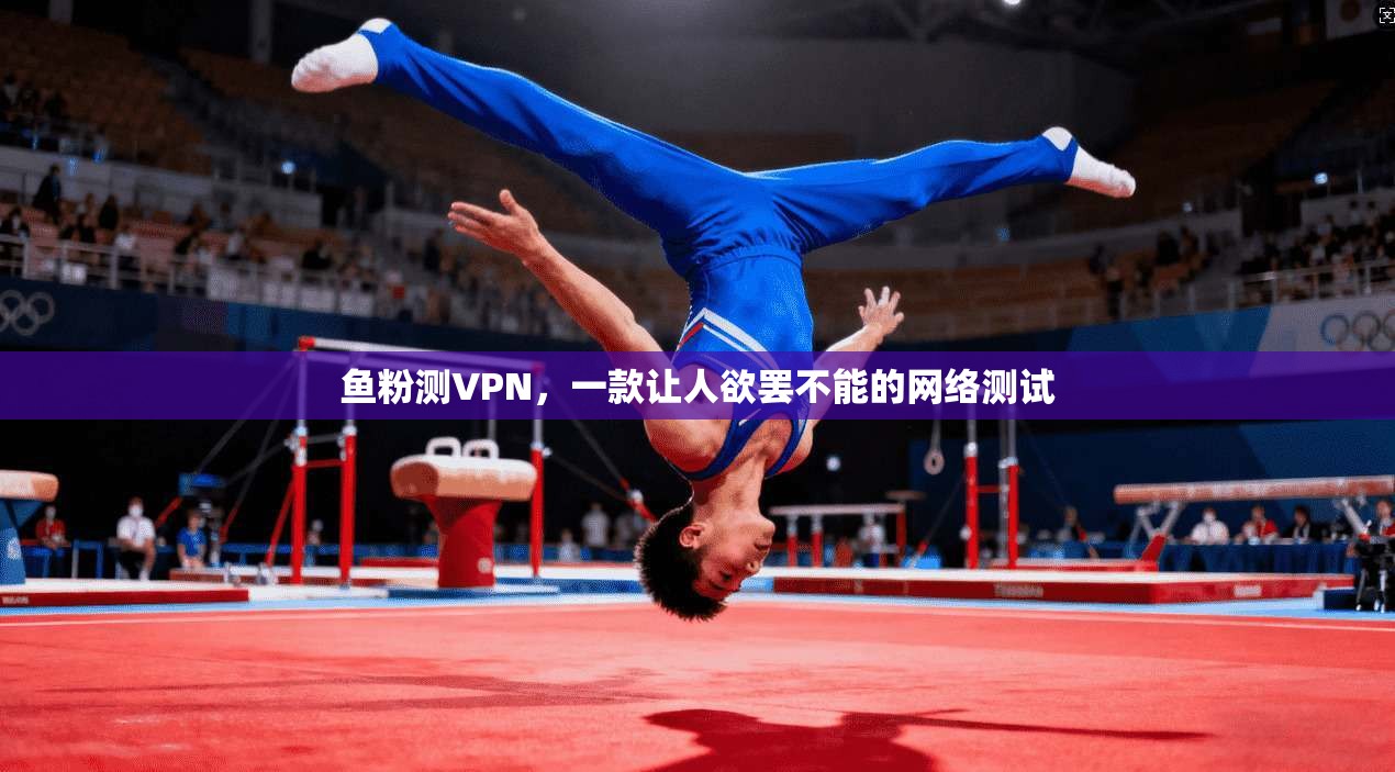 鱼粉测VPN，一款让人欲罢不能的网络测试