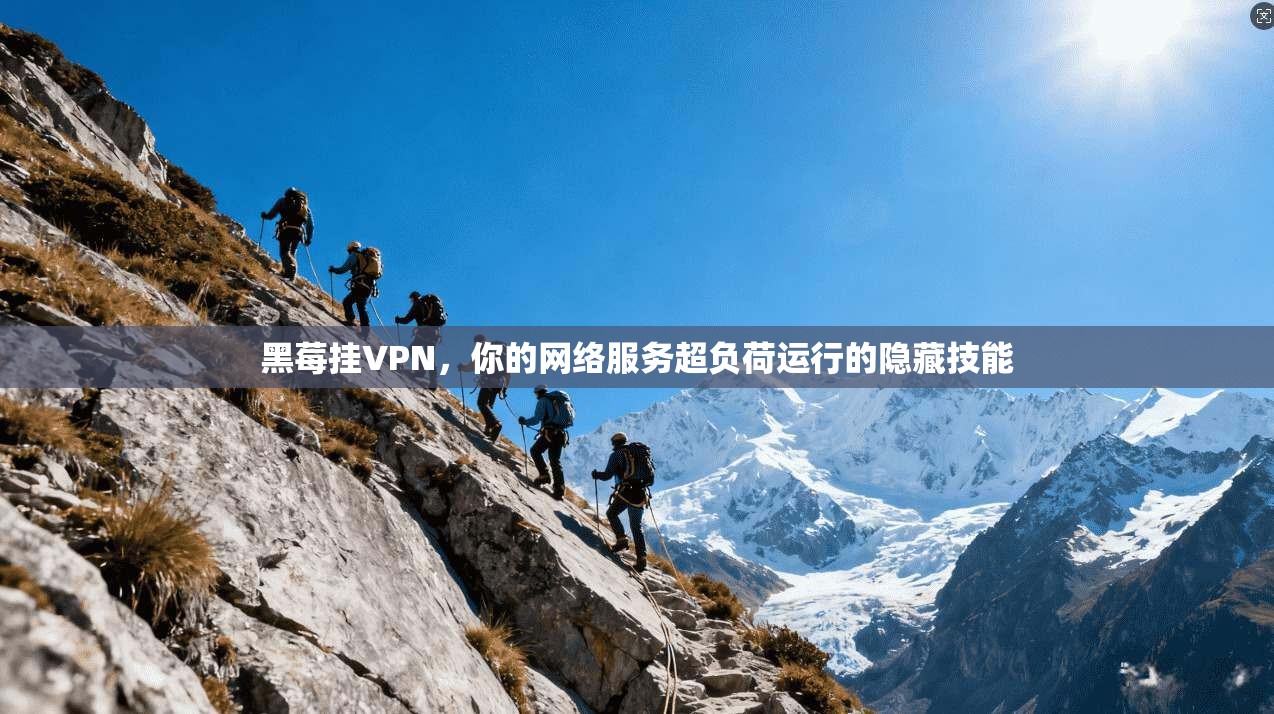 黑莓挂VPN，你的网络服务超负荷运行的隐藏技能