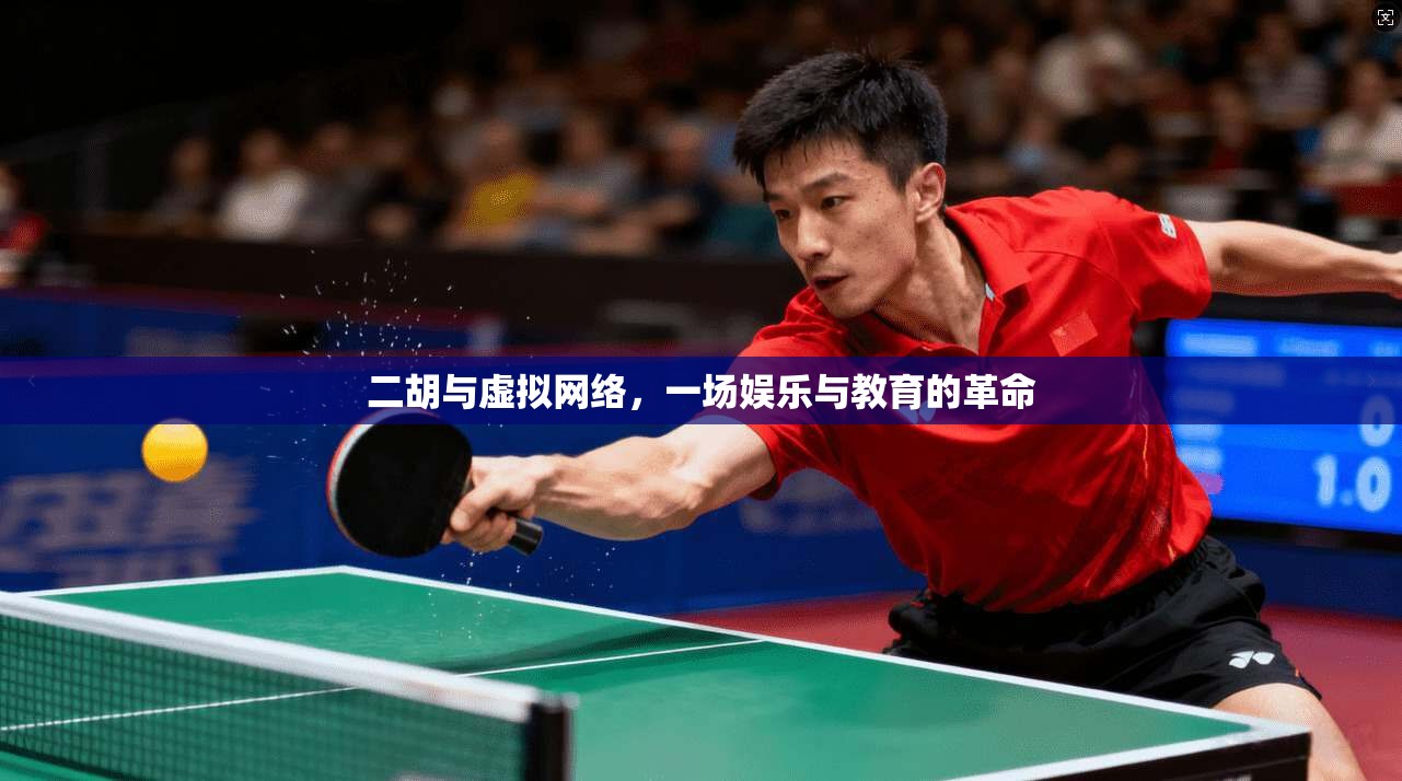 二胡与虚拟网络，一场娱乐与教育的革命