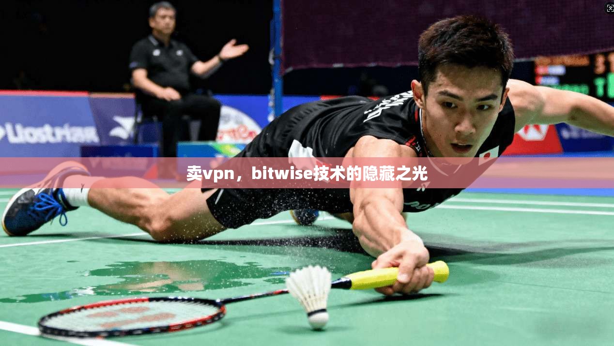 卖vpn，bitwise技术的隐藏之光