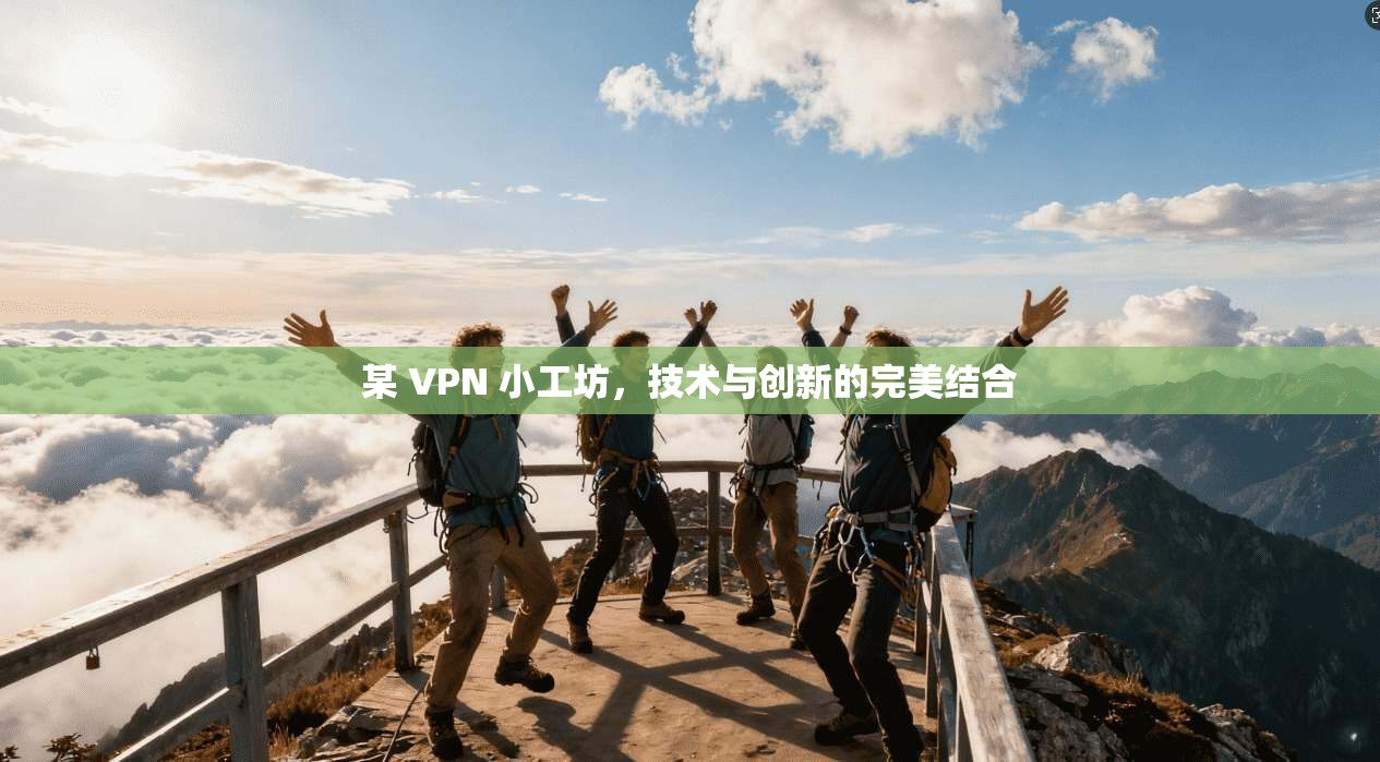 某 VPN 小工坊，技术与创新的完美结合