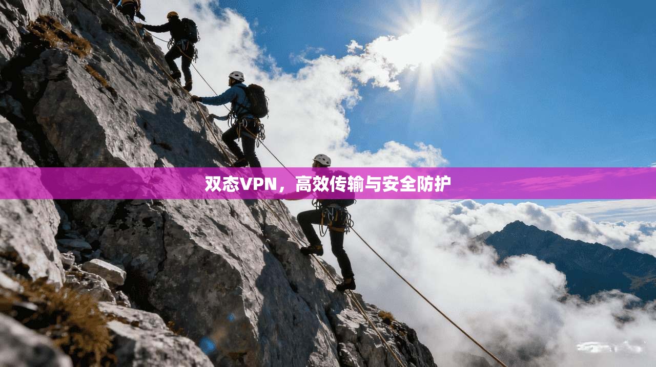 双态VPN，高效传输与安全防护