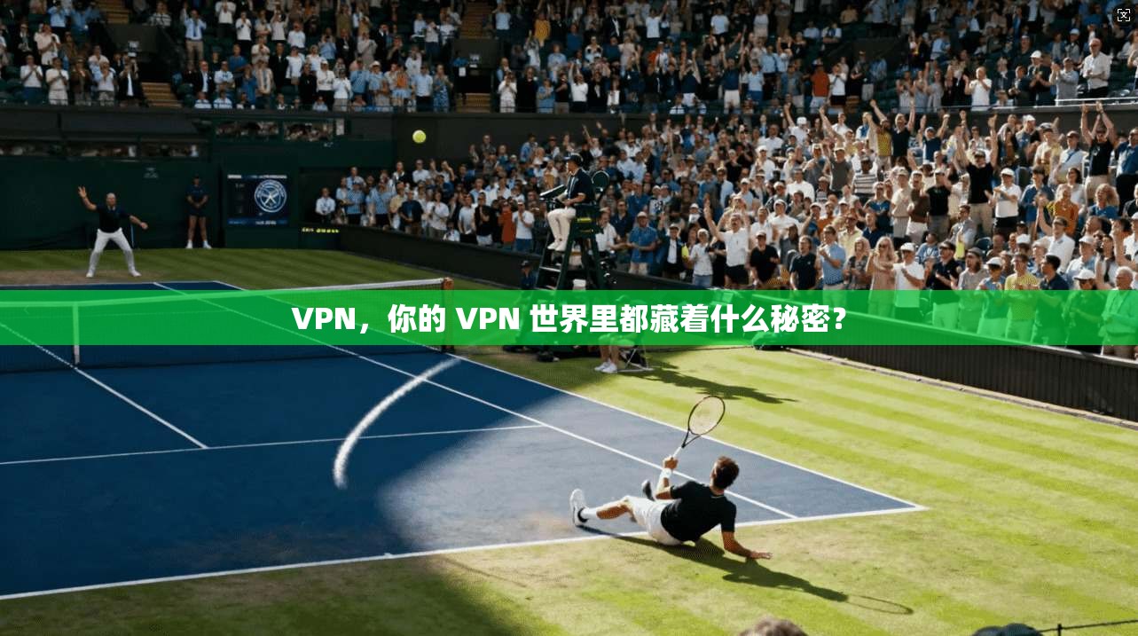 VPN，你的 VPN 世界里都藏着什么秘密？