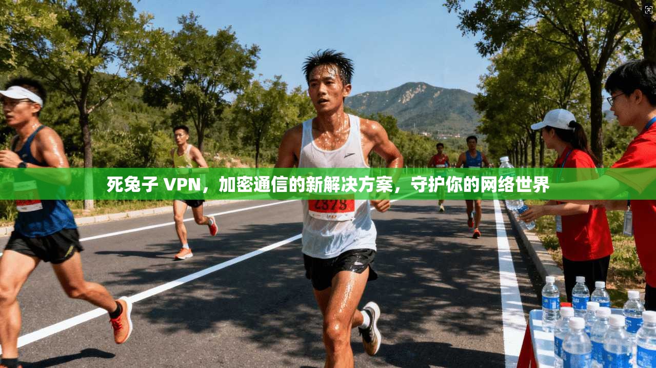 死兔子 VPN，加密通信的新解决方案，守护你的网络世界  第1张