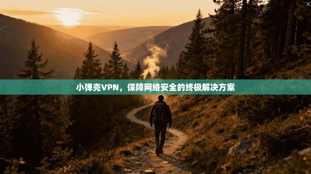 小弹壳VPN，保障网络安全的终极解决方案