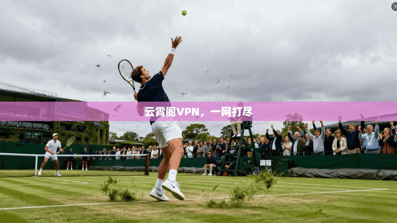 云霄阁VPN，一网打尽
