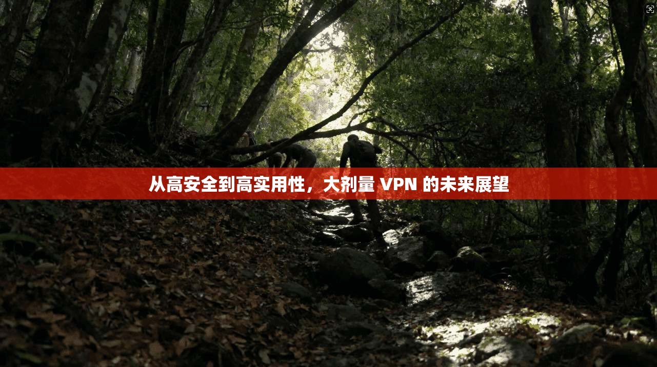 从高安全到高实用性，大剂量 VPN 的未来展望