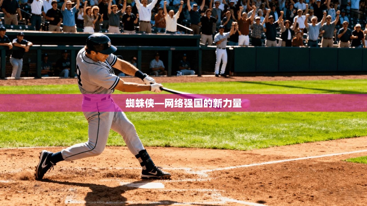 蜘蛛侠—网络强国的新力量