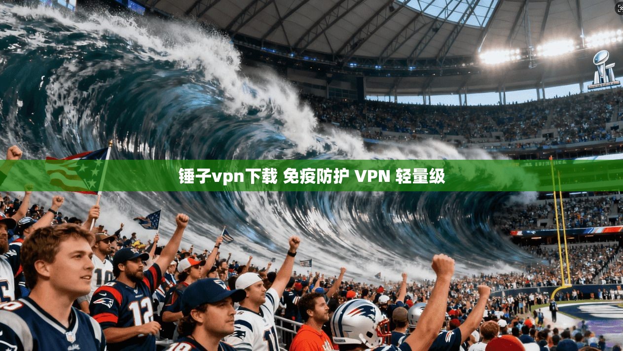 锤子vpn下载 免疫防护 VPN 轻量级