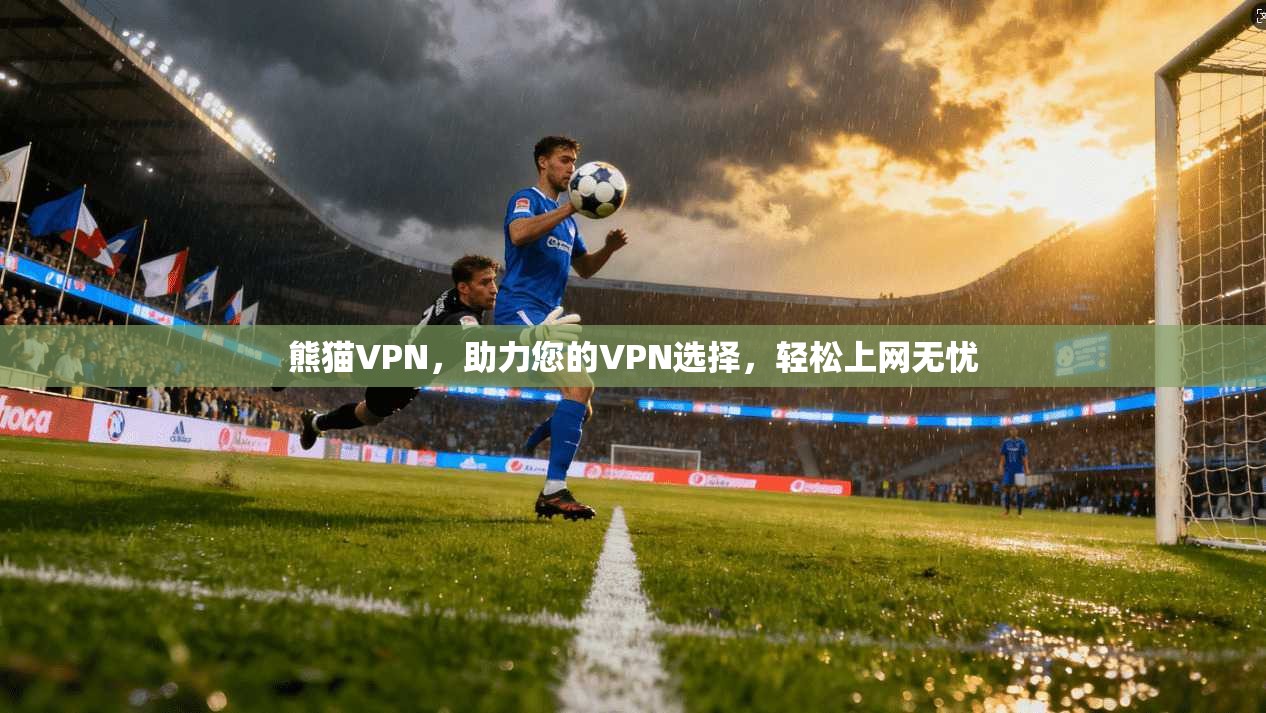 熊猫VPN，助力您的VPN选择，轻松上网无忧