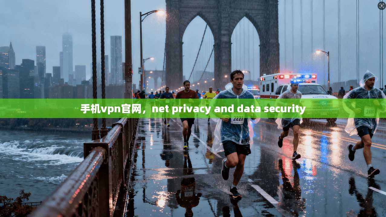手机vpn官网，net privacy and data security