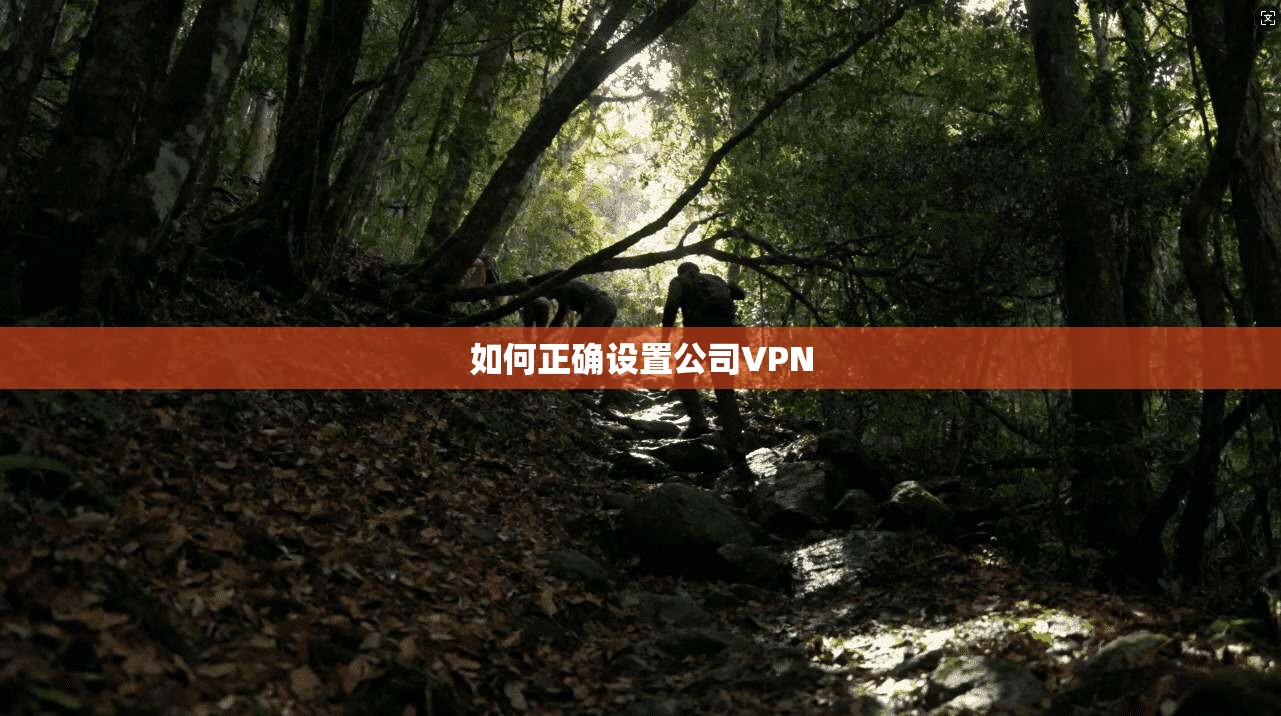 如何正确设置公司VPN