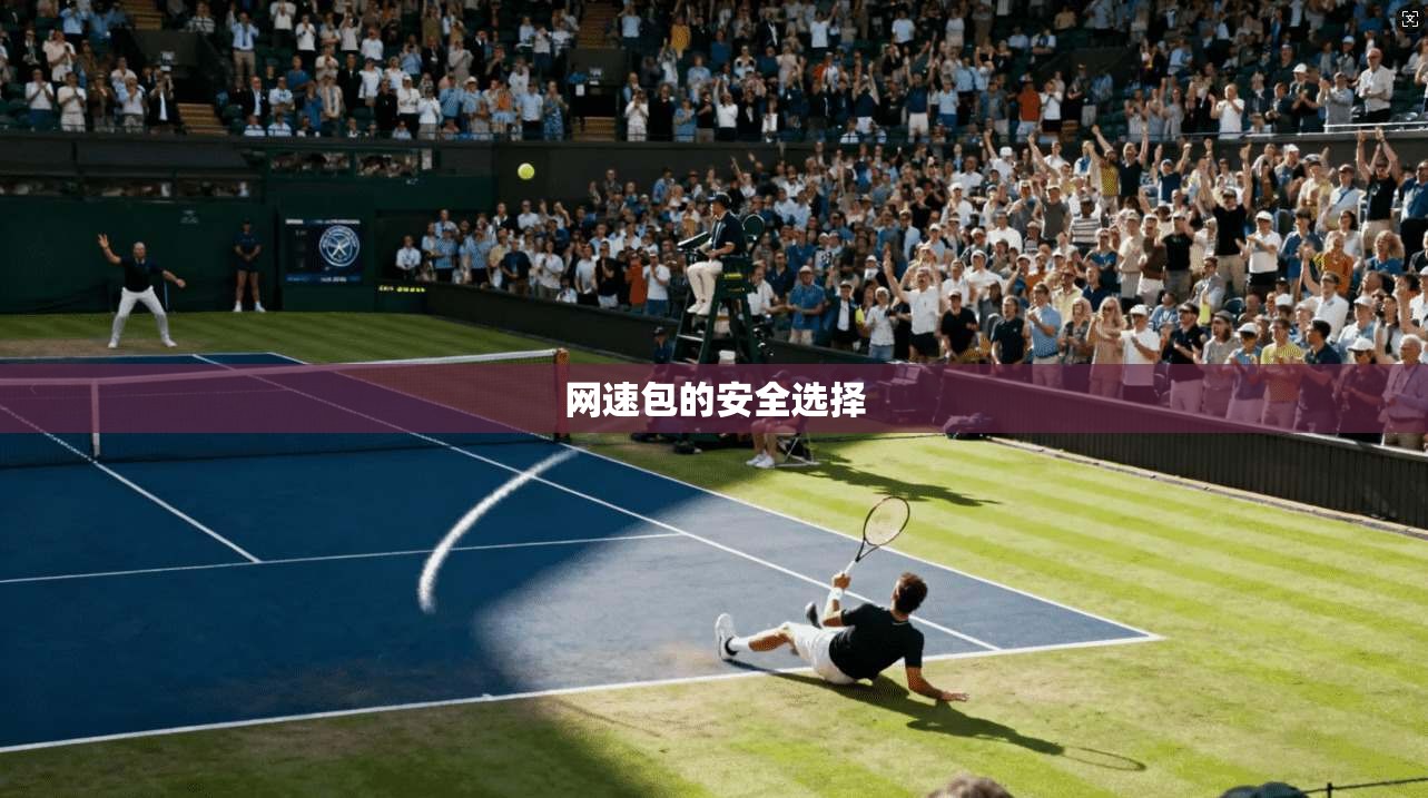 网速包的安全选择