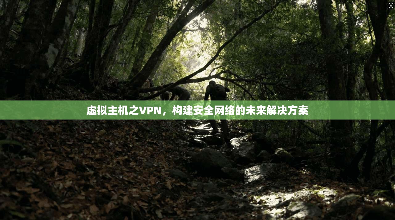 虚拟主机之VPN，构建安全网络的未来解决方案
