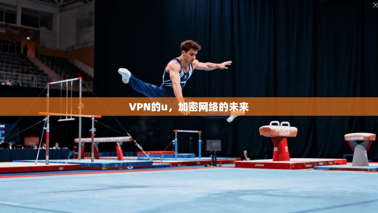 VPN的u，加密网络的未来
