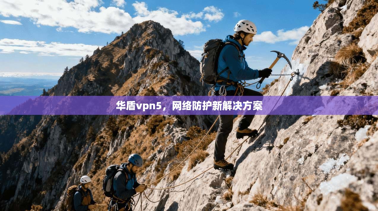 华盾vpn5，网络防护新解决方案