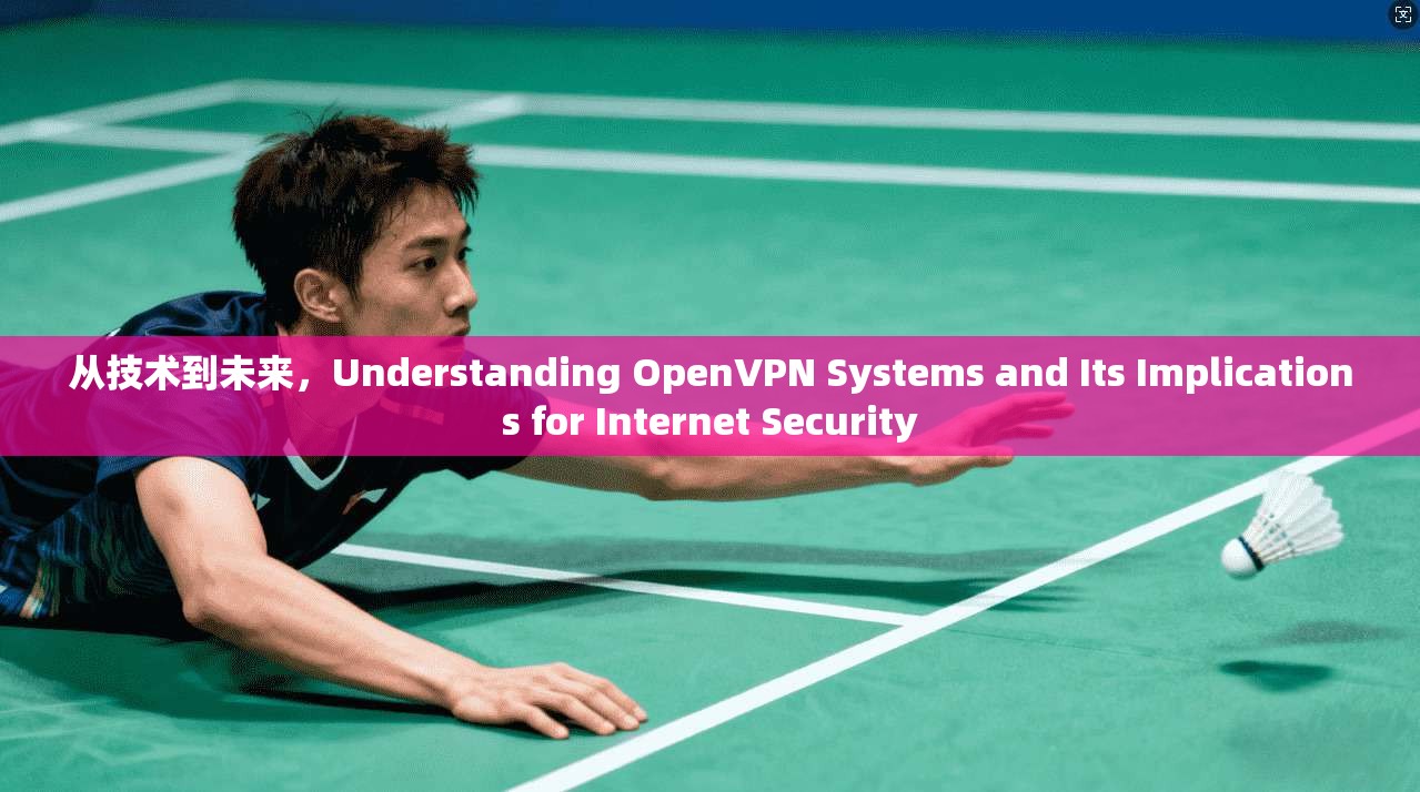 从技术到未来，Understanding OpenVPN Systems and Its Implications for Internet Security