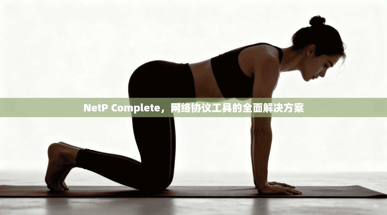 NetP Complete，网络协议工具的全面解决方案