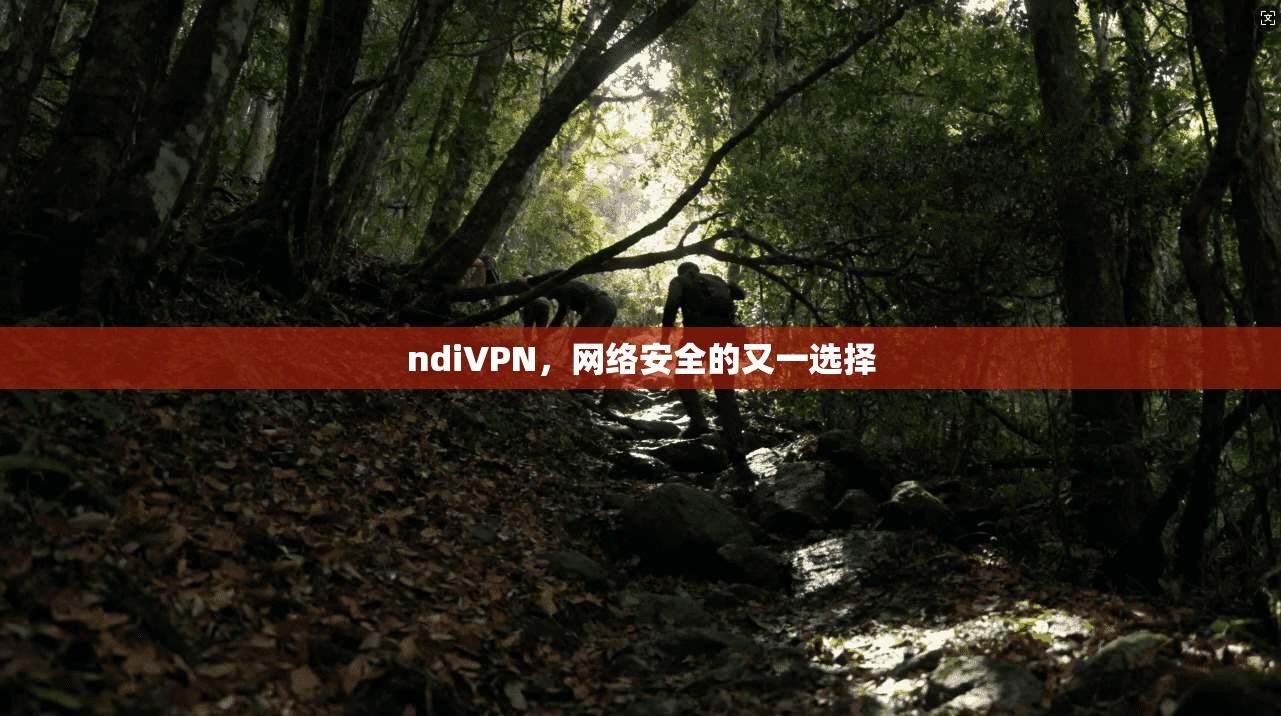 ndiVPN，网络安全的又一选择