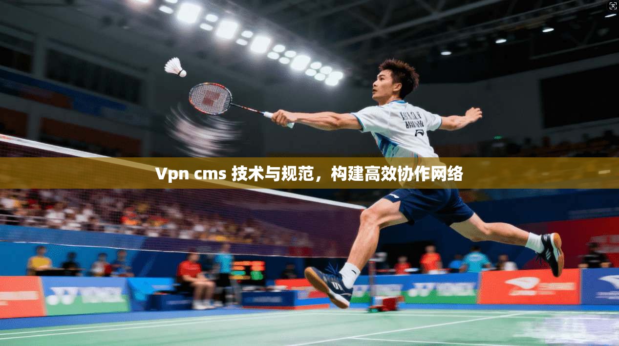 Vpn cms 技术与规范，构建高效协作网络