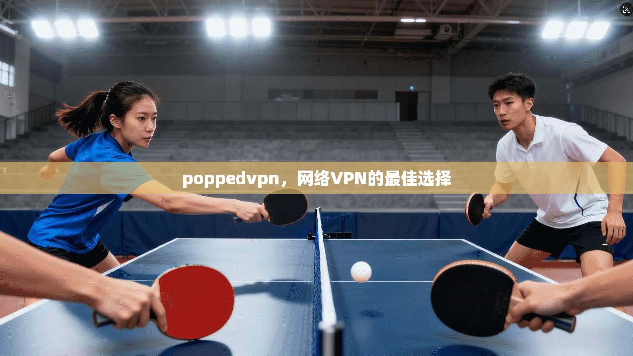 poppedvpn,网络VPN的最佳选择