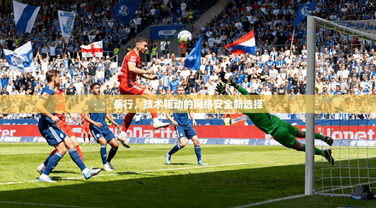 岳行，技术驱动的网络安全新选择