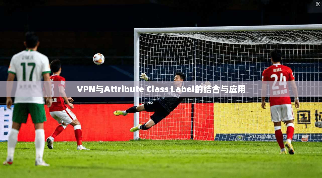 VPN与Attribute Class Label的结合与应用