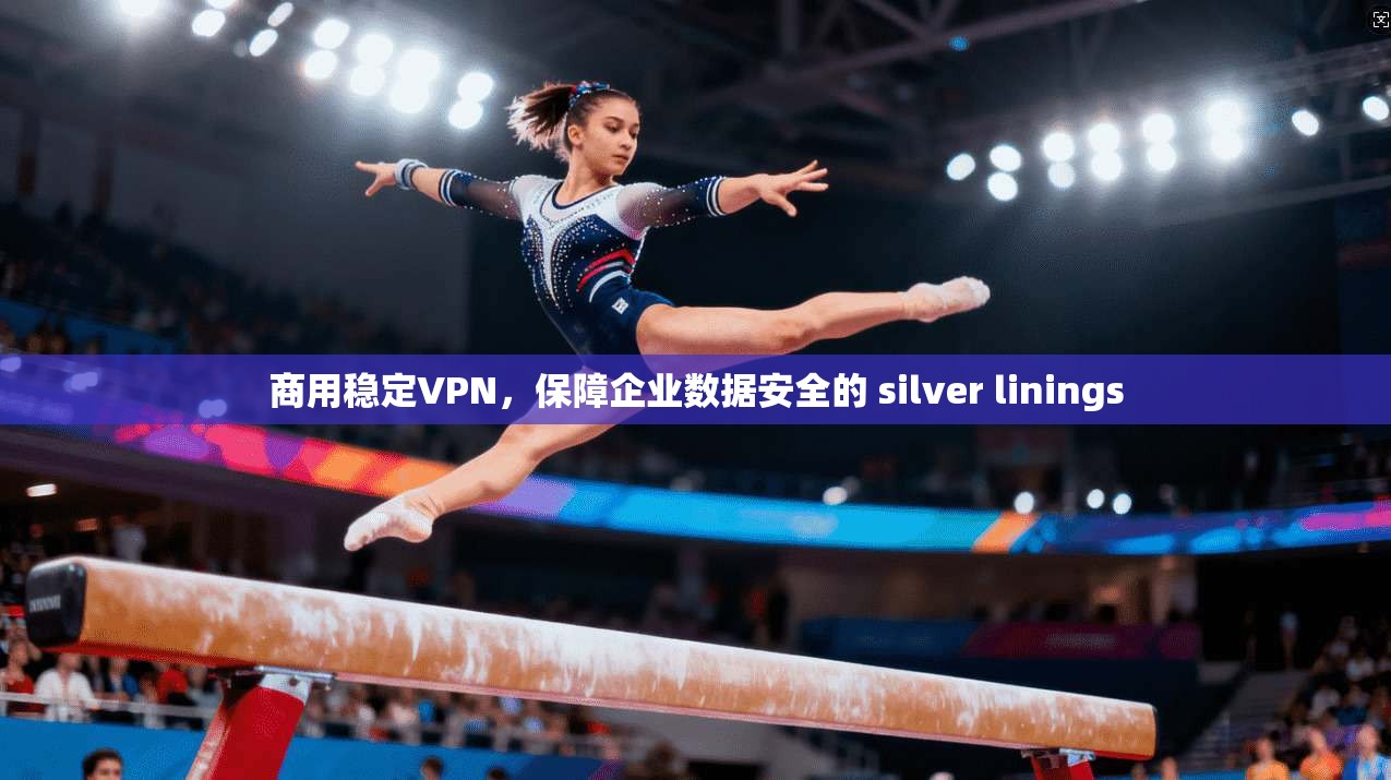 商用稳定VPN，保障企业数据安全的 silver linings