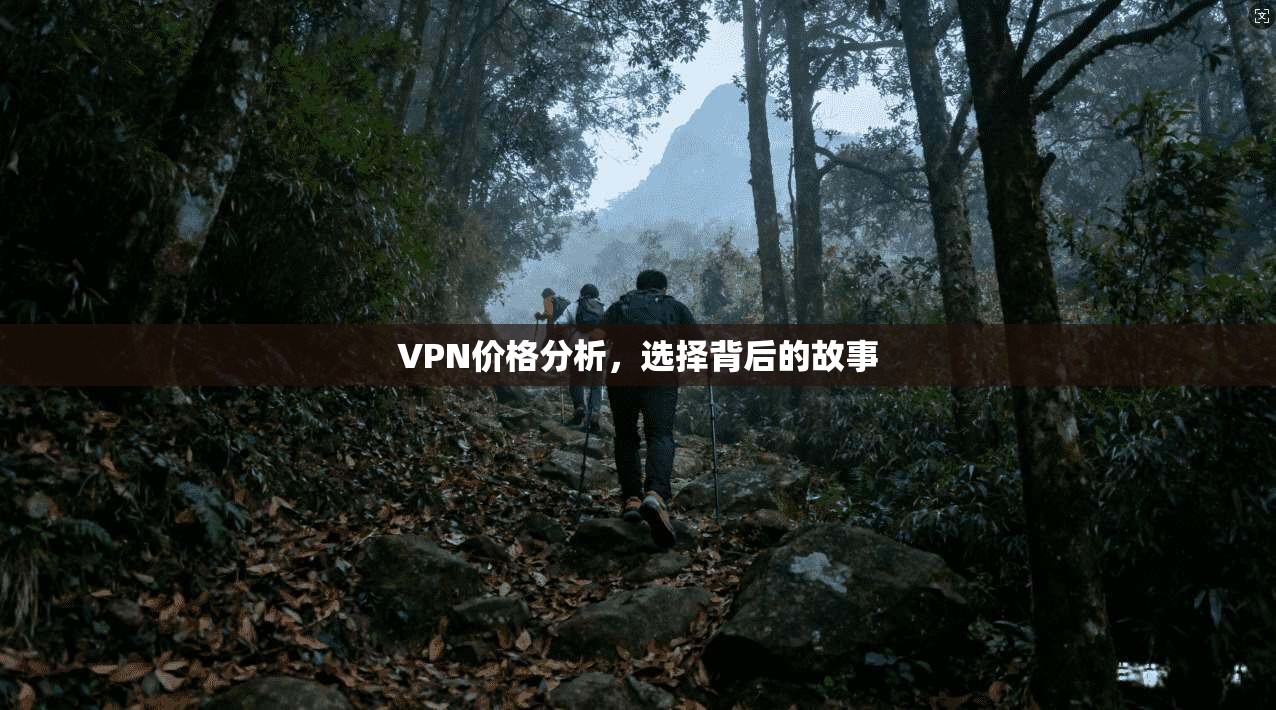 VPN价格分析，选择背后的故事