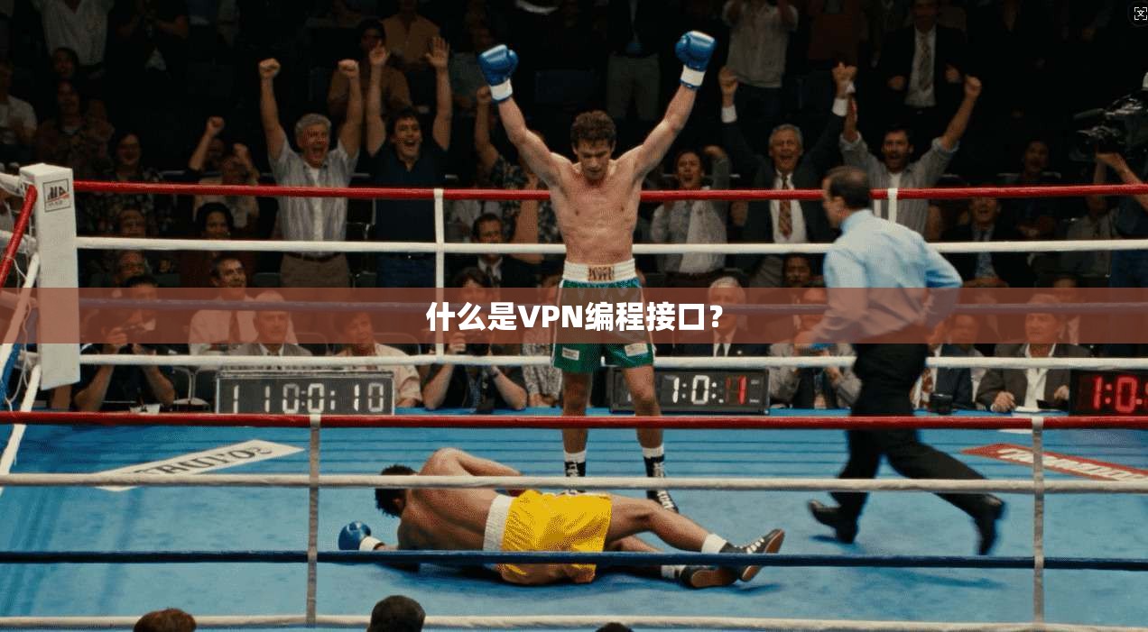 什么是VPN编程接口?